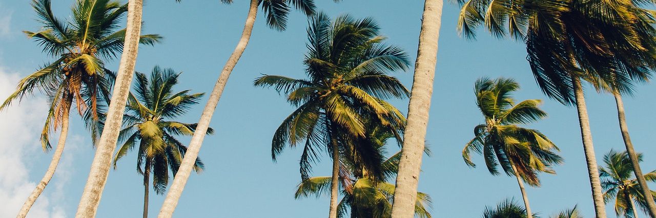 justjenora's profile banner image