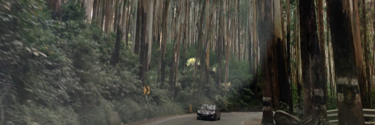 ankitrj24's profile banner image