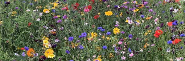 WinderCate Profile Banner