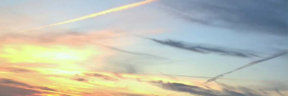 Maria Amélia de Andrade e Pinto de Almeida banner