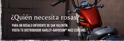 harley_panama's profile banner image