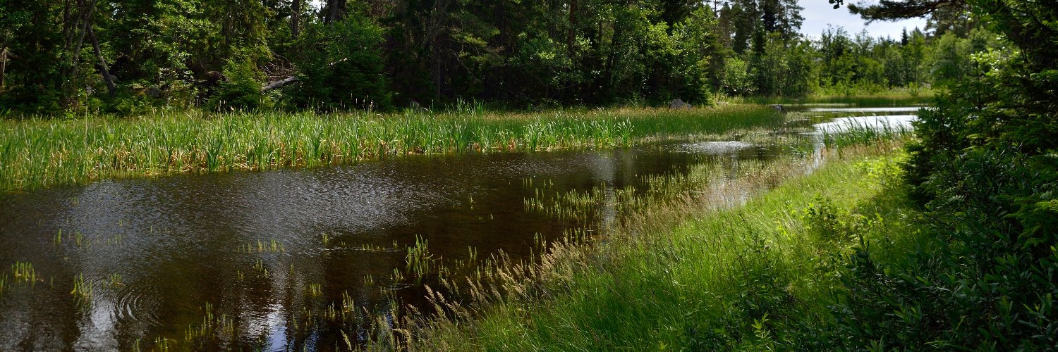 ESEE lab (Evol. Stress Ecology & Ecotoxicology) banner