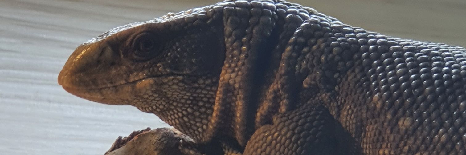 lee4774's profile banner image