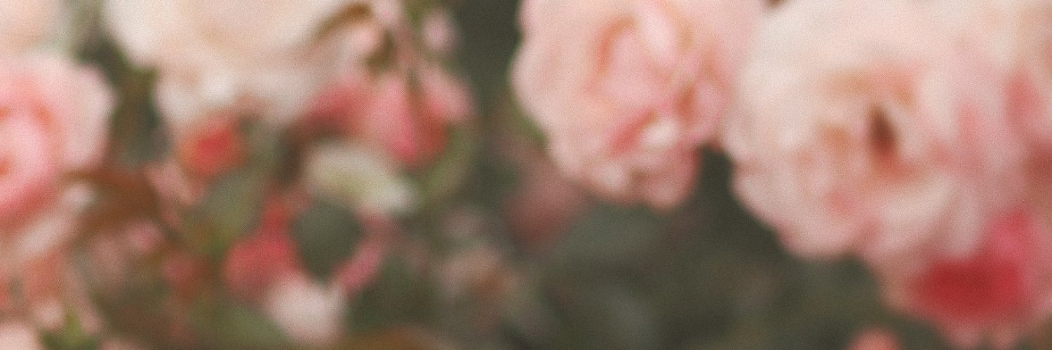 solwein's profile banner image