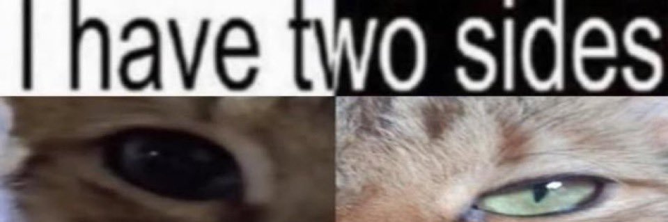 v banner