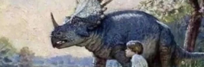 Skaloota's profile banner image