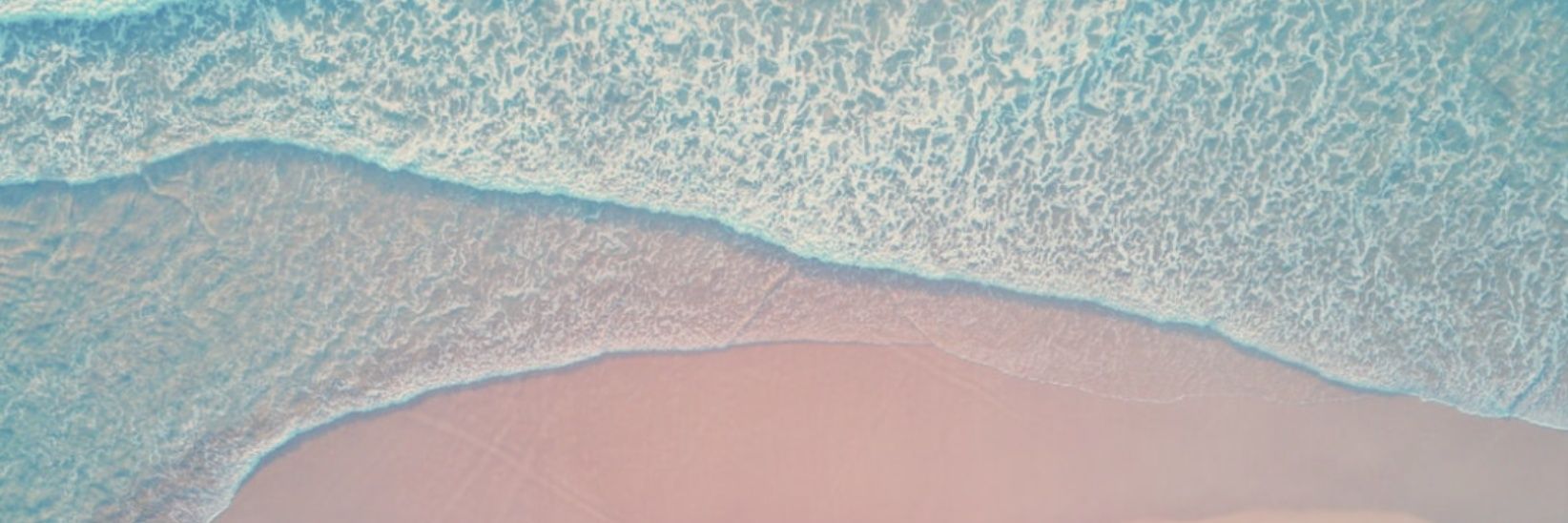 noe banner