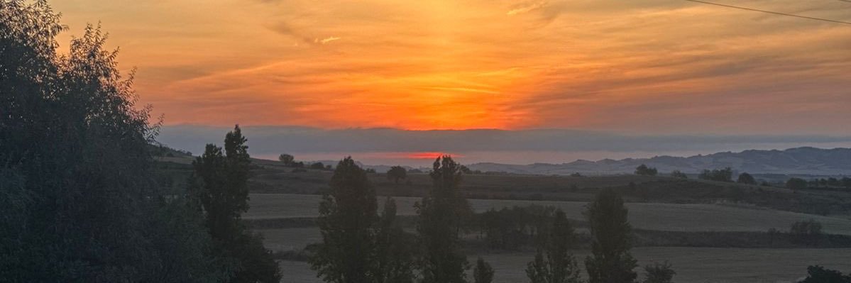 Xavier Orendáin De Obeso banner