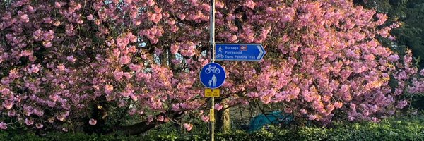 zero_stevie Profile Banner