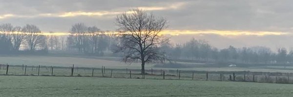 RaskinWouter Profile Banner