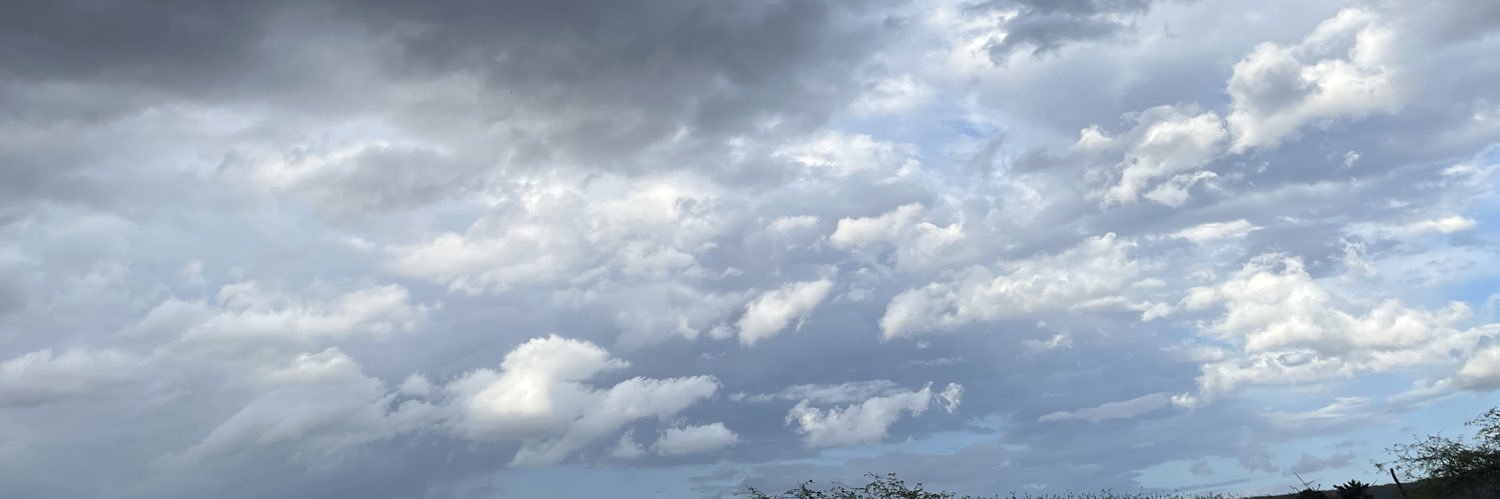Olexflorez's profile banner image