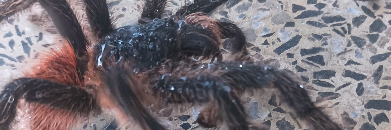 DoidoUsar's profile banner image