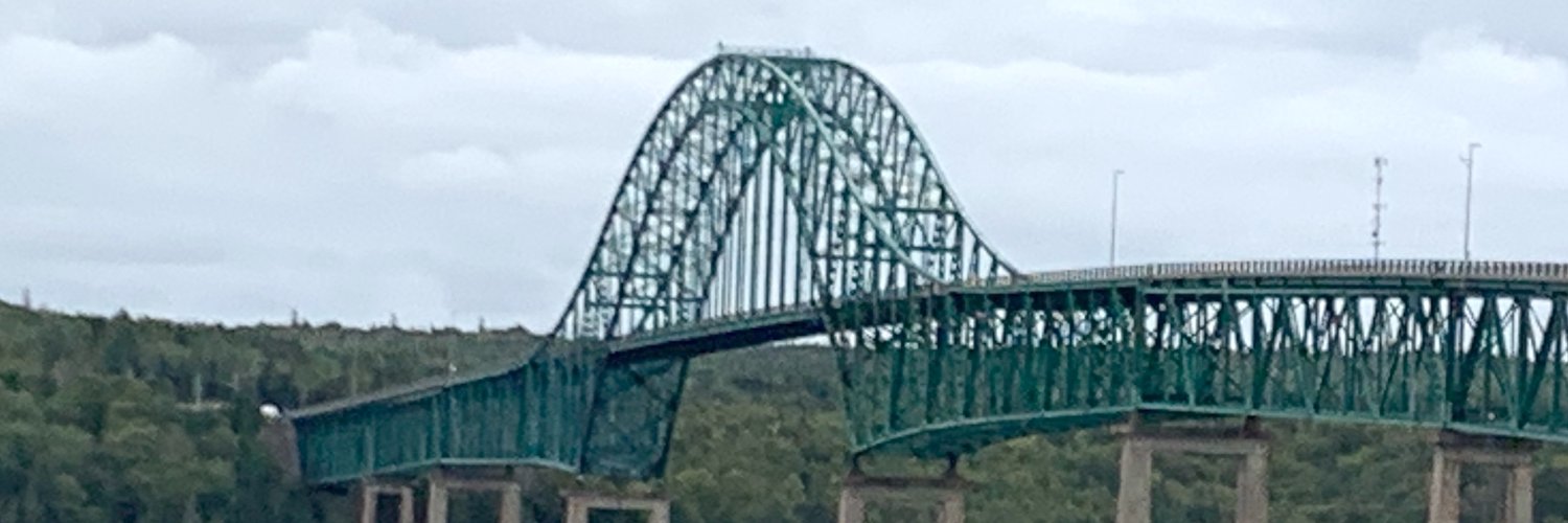 Ian Nathanson banner