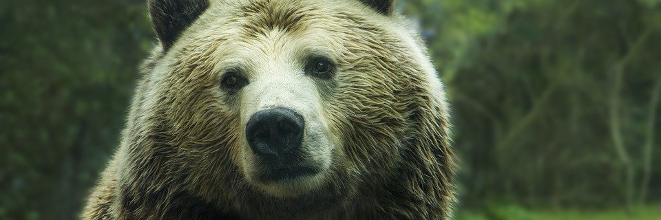 HughKnight13's profile banner image
