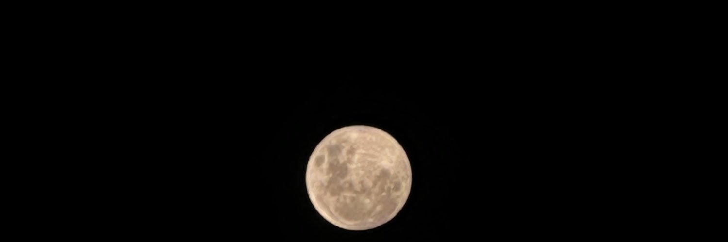 Larah ₆⁶₆ banner