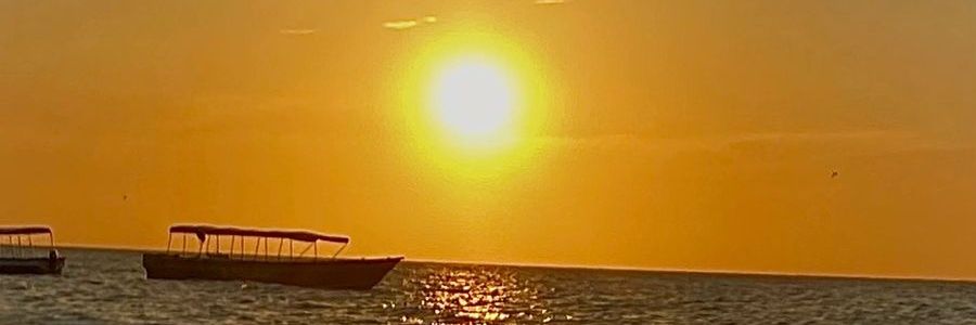 araque__'s profile banner image