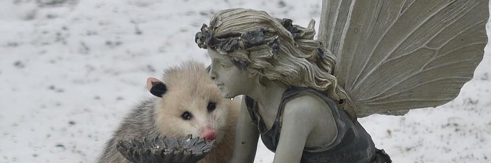 jackson juniper (he/they) banner