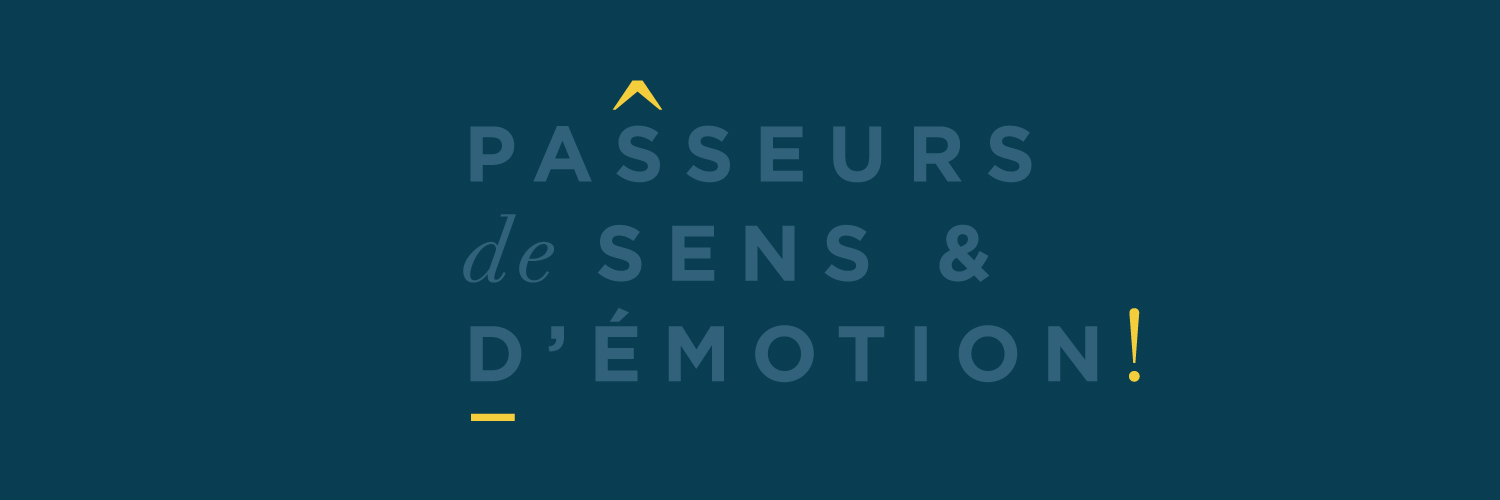 perlesdhistoire's profile banner image