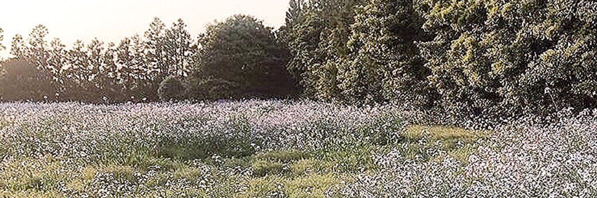 close jamie banner