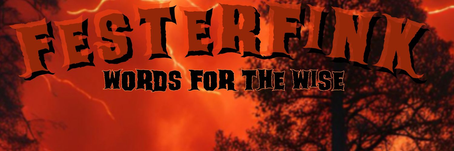 Festerfink 🧨's banner