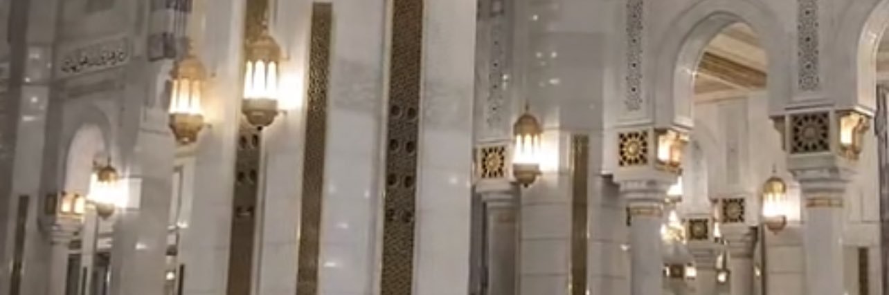 Saloha🕊️ banner