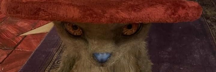 𝐝𝐢𝐲𝐚 banner