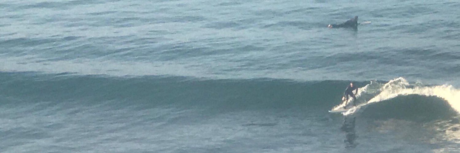 Rory O’Mór (Curate's Egg) banner