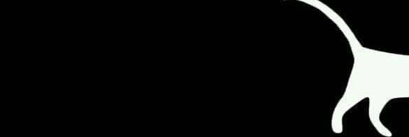 dinesu7's profile banner image