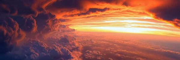 elbrandonmartin Profile Banner