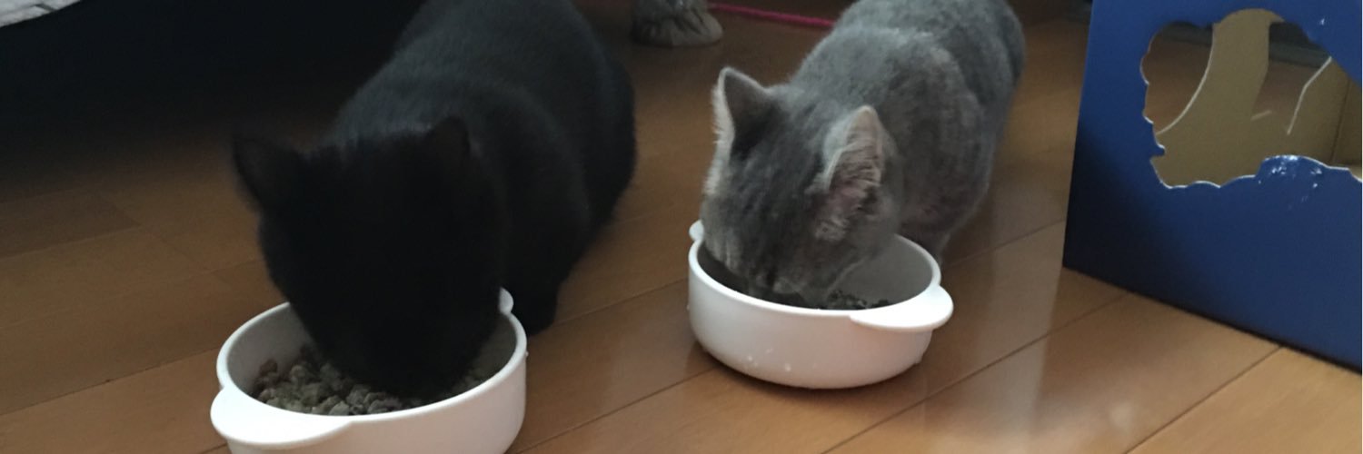 てきょん banner