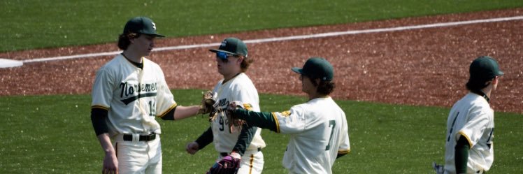 Rocco cardinale banner