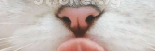 I Follow Every Furry banner