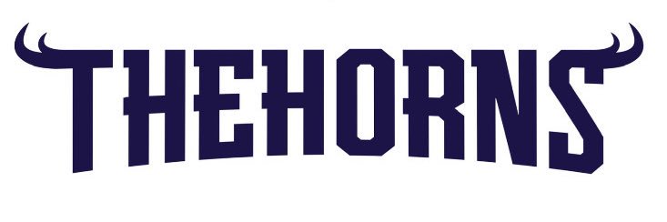THEHORNS | Oficial 🎾 banner