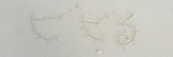 viviljp Profile Banner