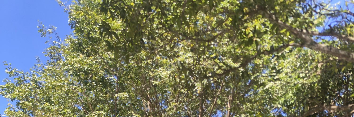 MatheusPriv_'s profile banner image