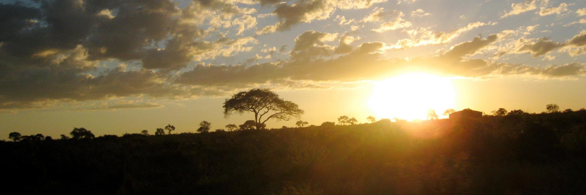 Matthew Kertman banner