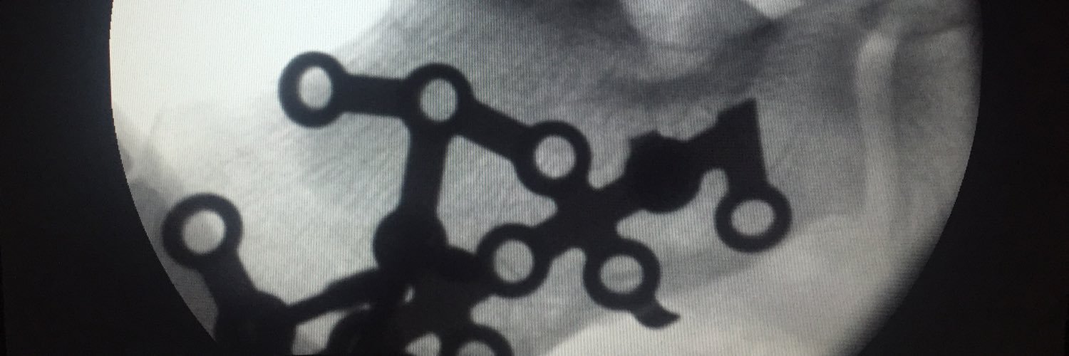 ppdelreal's profile banner image