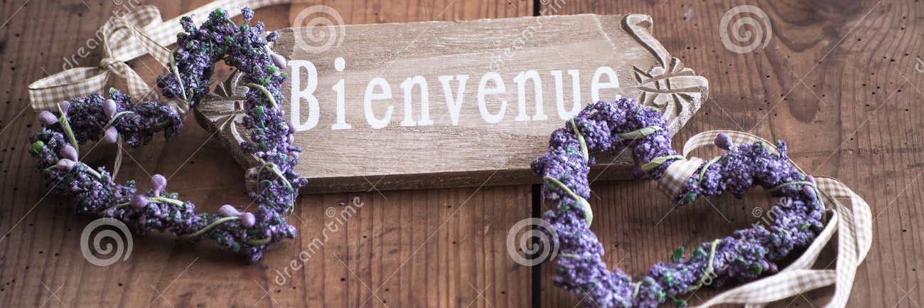 Sandra Roca-O'Reilly banner