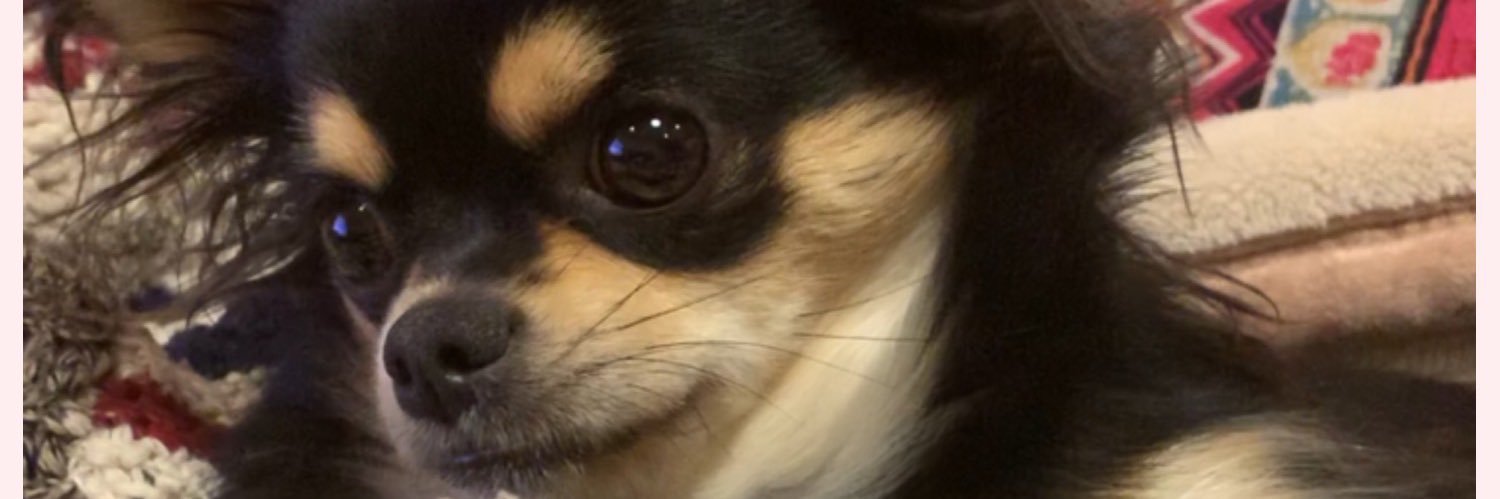 下川みくに³⁹² banner