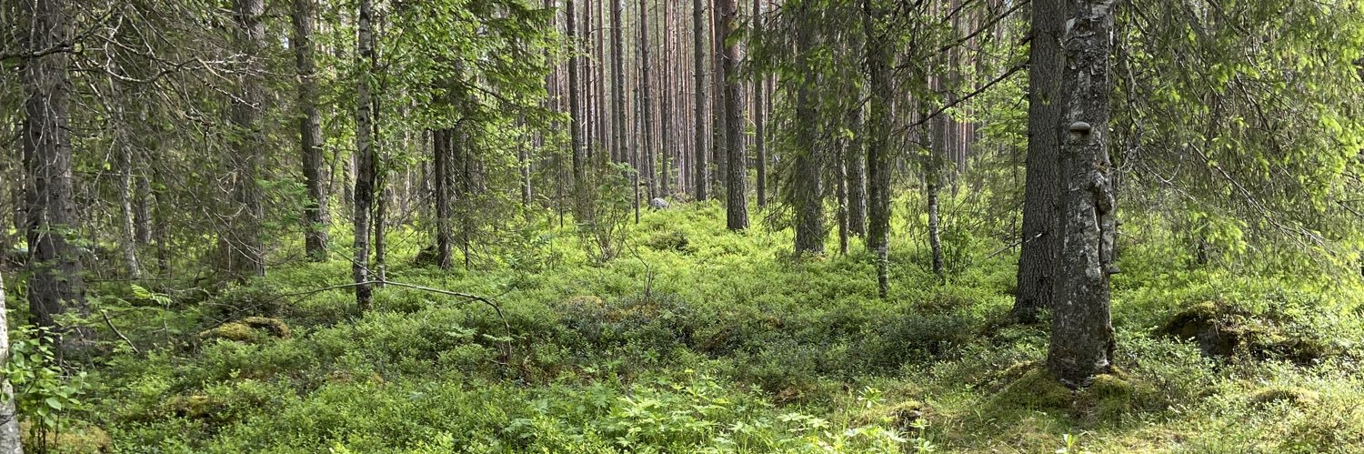 Kake the DarkElf 🇫🇮 ENVtuber banner
