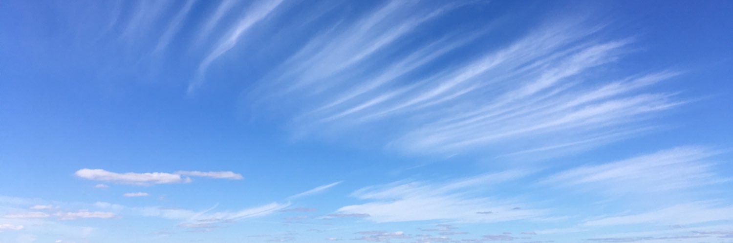 yourmomsgay banner