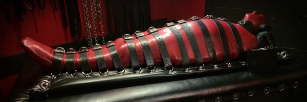 sallystoybox Profile Banner