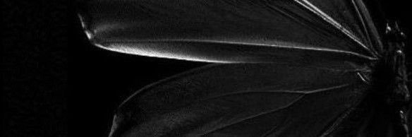 Ikigay8's profile banner image