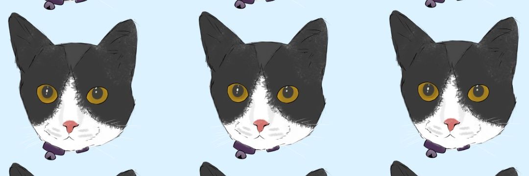 diaryanabuls's profile banner image