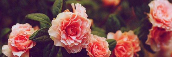 jennaal82642481 Profile Banner