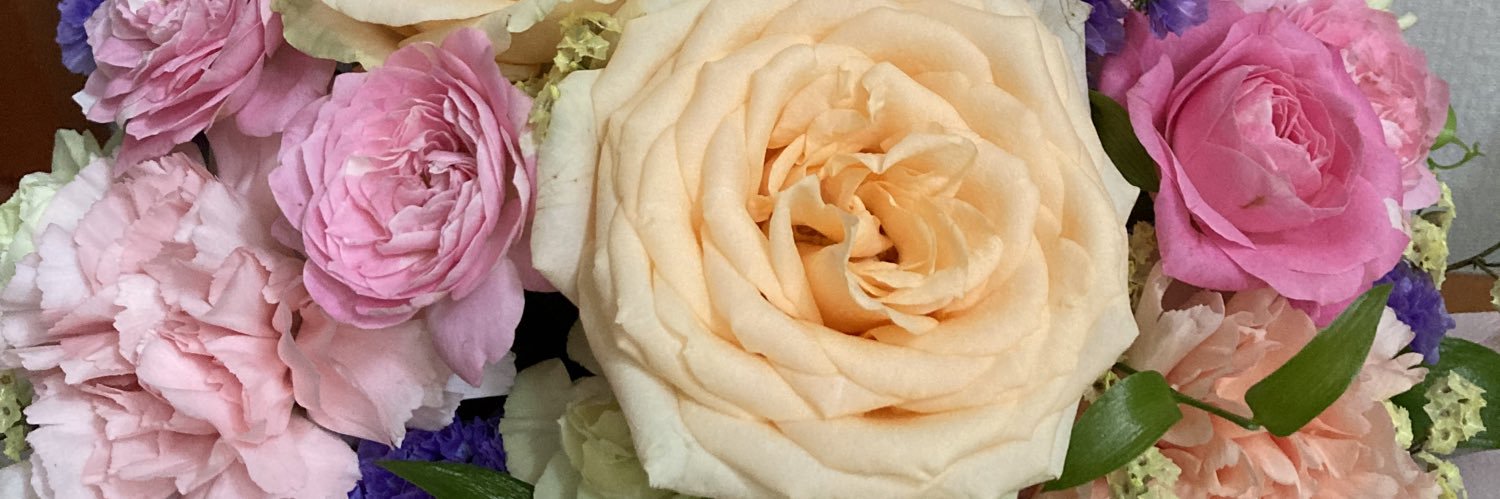 melroseiris's profile banner image