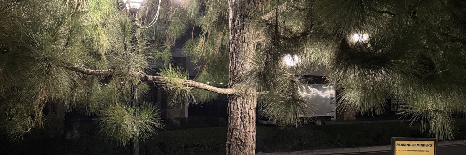 dadchups's profile banner image