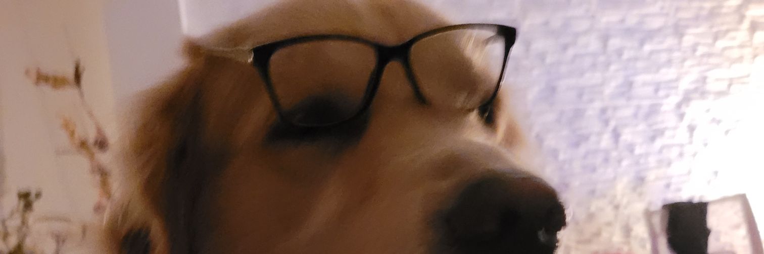 Frannn06's profile banner image