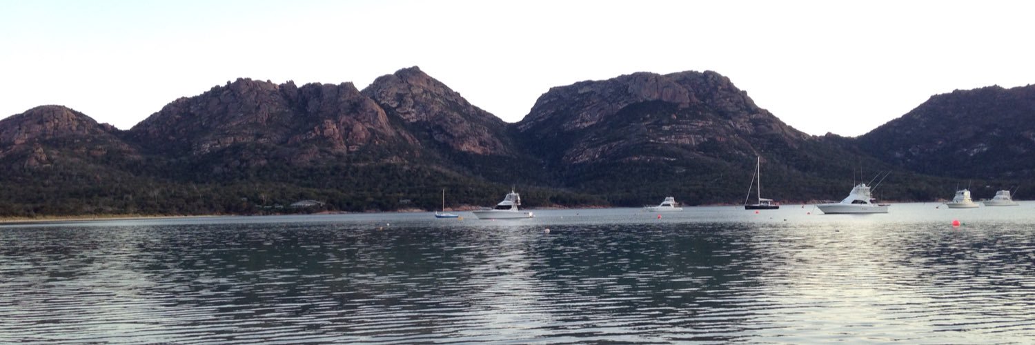 Catherine Spinks banner