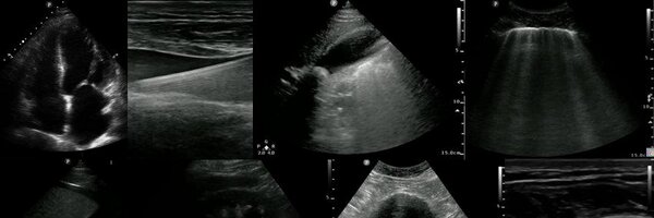 Jailyn_Avi Profile Banner